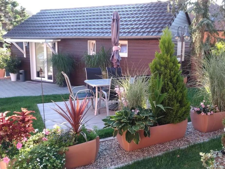 Gites Le P'Tit Paradis Du Ried Sundhouse Exterior foto